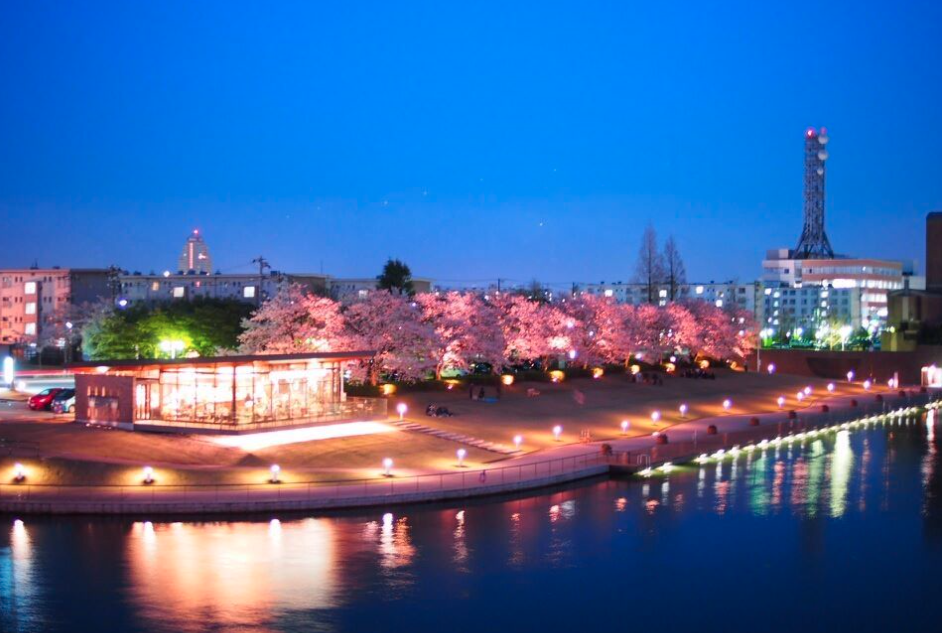 環水公園お花見フェスタ２０１９ ４月７日 土 ８日 日 に開催 フリーナビとやま