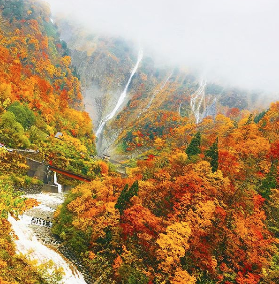 富山県民が選ぶ 絶対に満足できる 紅葉スポット２０１９ ５選 フリーナビとやま